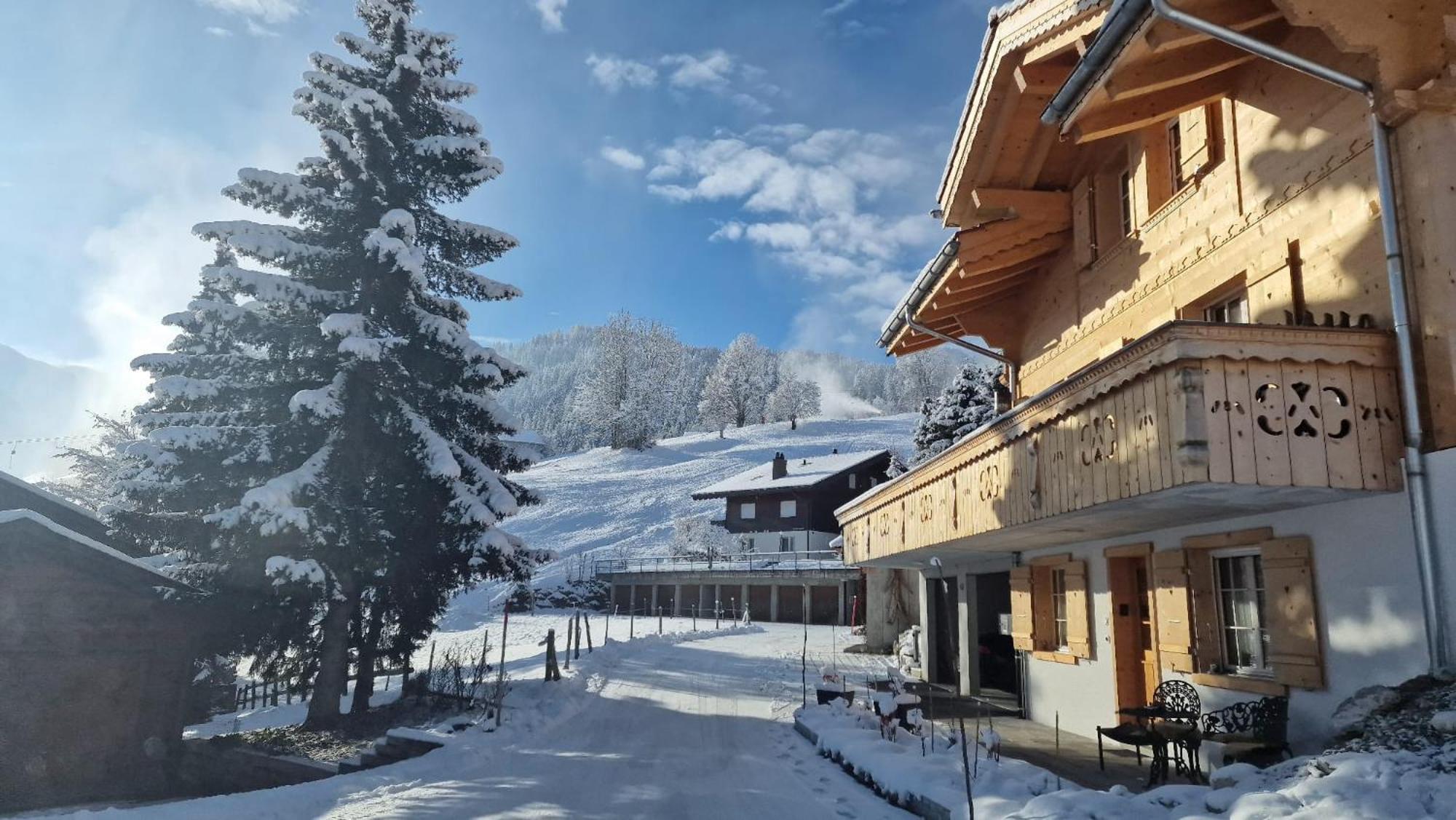 Large Deluxe Studio For 2 - Chalet Lovo Lenk Esterno foto