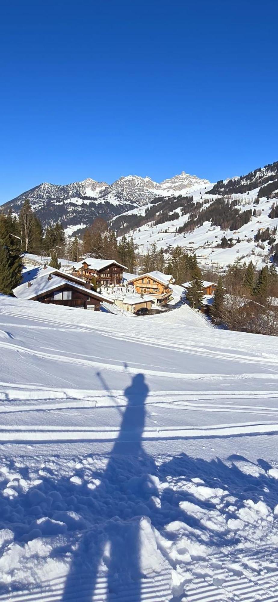 Large Deluxe Studio For 2 - Chalet Lovo Lenk Esterno foto