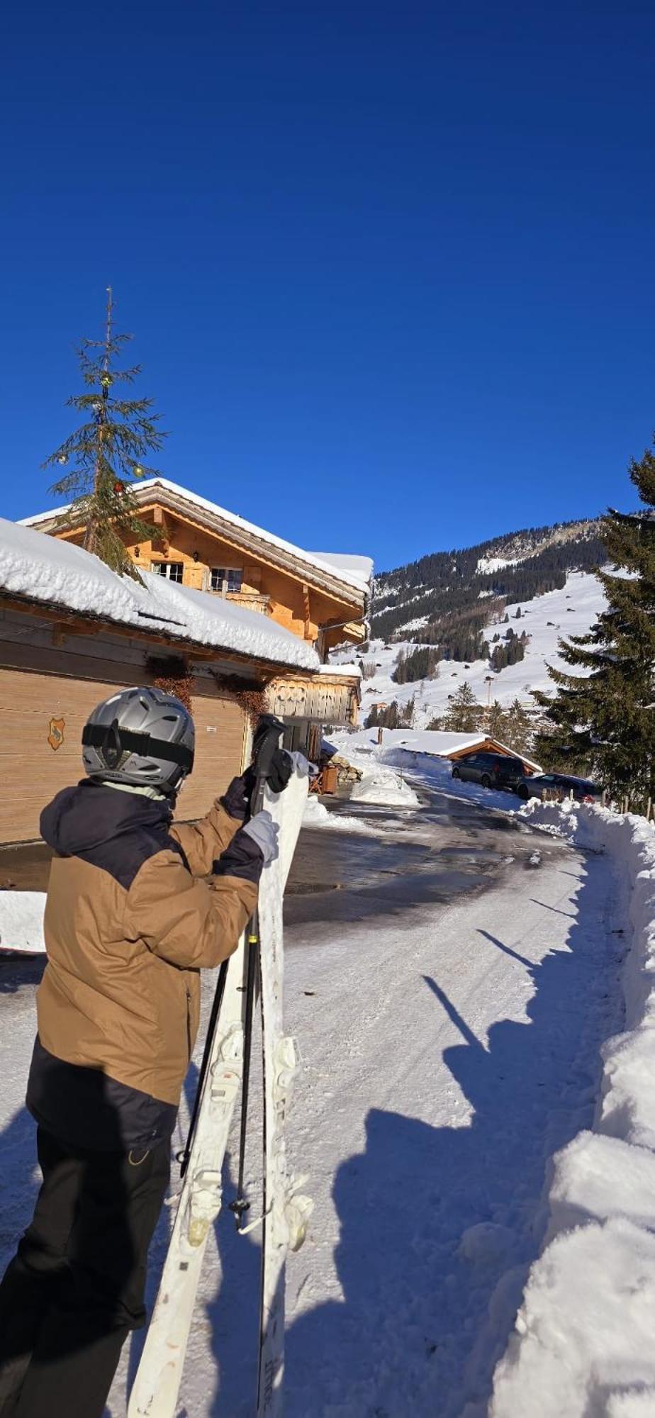 Large Deluxe Studio For 2 - Chalet Lovo Lenk Esterno foto